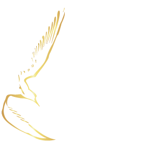 Aeroprocurement